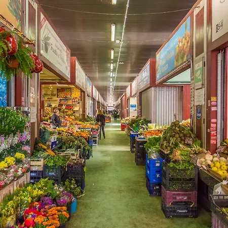 Casa Epiro Apartamento